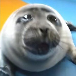 Meet your Posher, Eztli